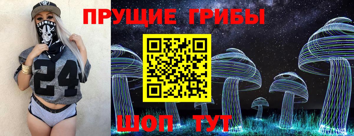 Псилоцибиновые грибы ЛСД  Вход с VPN  Богородицк  Псилоцибиновые грибы MAGIC MUSHROOMS 